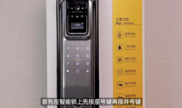 猫眼视频,揭秘猫咪世界的趣味瞬间